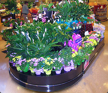 Floral Island Display