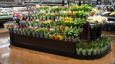 European style refrigerated floral display