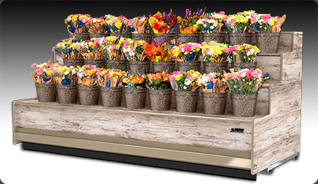 European style refrigerated floral display