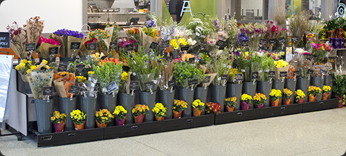 European style refrigerated floral display.